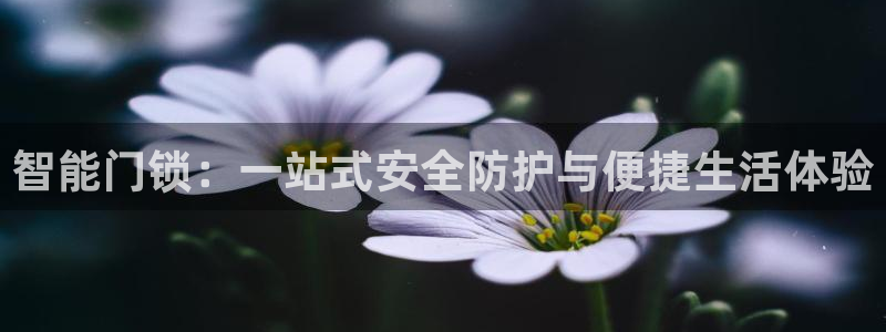 利记手机官网bb电子平台官方：智能门锁：一站式安全防护与便捷