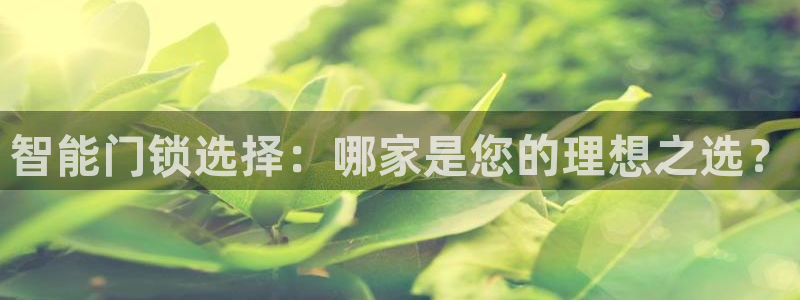 利记手机官网葡京备用：智能门锁选择：哪家是您的理想之选？