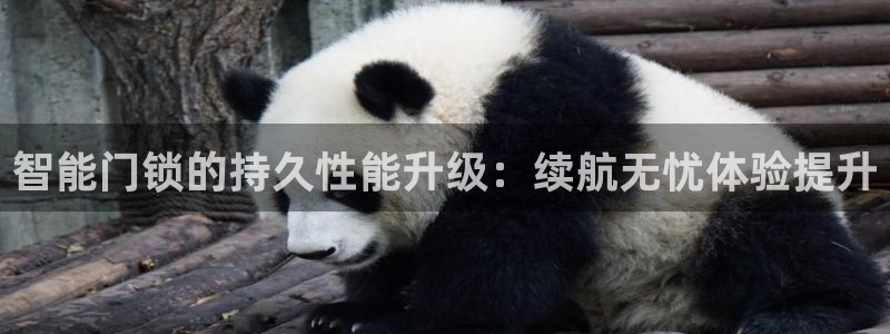 林利记官网：智能门锁的持久性能升级：续航无忧体验提升