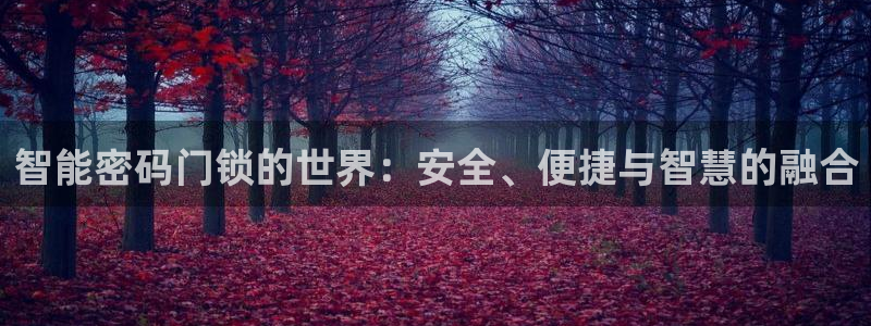 利记手机官网葡京备用：智能密码门锁的世界：安全、便捷与智慧的