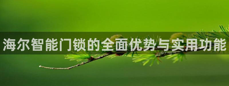 利记体育官网地址：海尔智能门锁的全面优势与实用功能