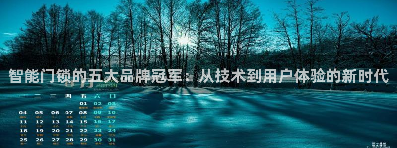 利记官网入口最新版：智能门锁的五大品牌冠军：从技术到用户体验