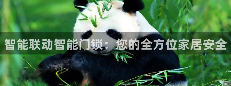 利记官网行业领导者：智能联动智能门锁：您的全方位家居安全