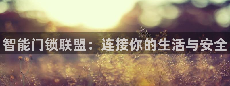 利记真的官网：智能门锁联盟：连接你的生活与安全