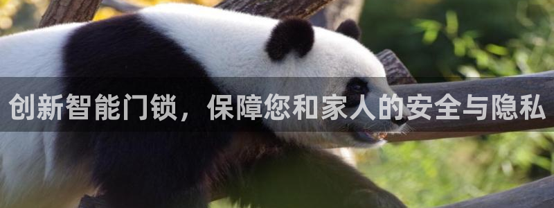 万利记官方旗舰店官网：创新智能门锁，保障您和家人的安全与隐私