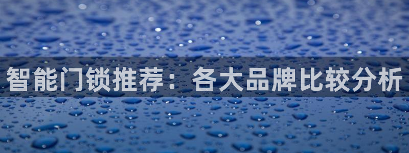 利记坊平台唯一官网：智能门锁推荐：各大品牌比较分析