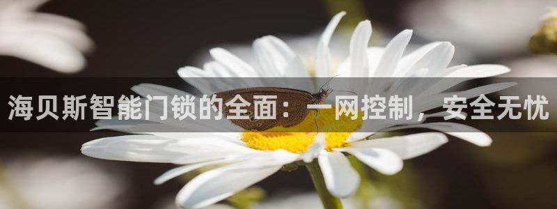 利记信誉官网：海贝斯智能门锁的全面：一网控制，安全无忧