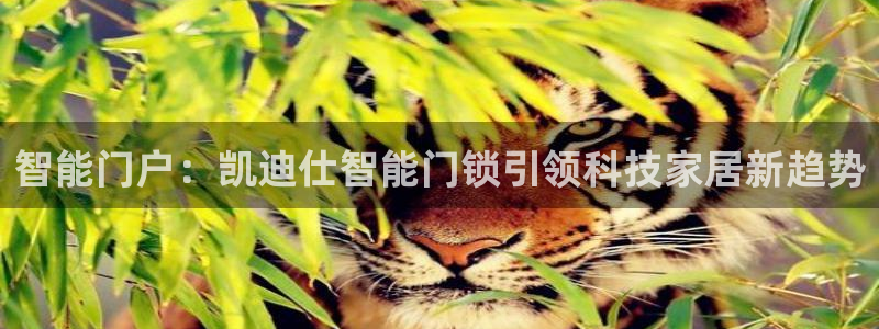 利记手机官网bb电子平台官方：智能门户：凯迪仕智能门锁引领科