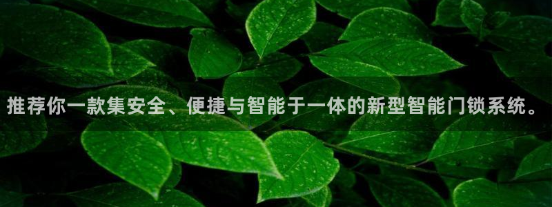利记官网官方网站：推荐你一款集安全、便捷与智能于一体的新型智