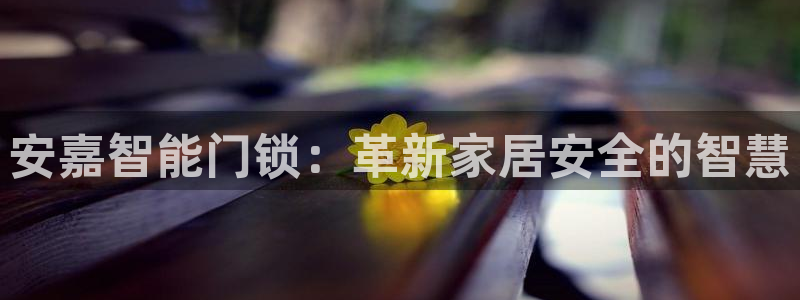 利记app官网真人游戏：安嘉智能门锁：革新家居安全的智慧