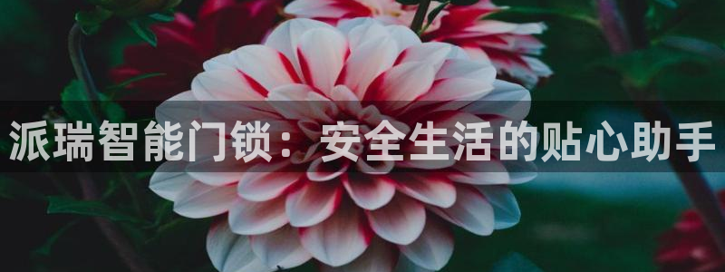 利记88官网app：派瑞智能门锁：安全生活的贴心助手