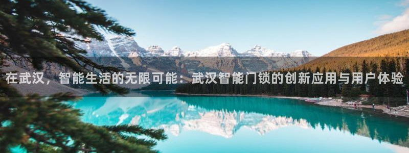利记体育官网地址：在武汉，智能生活的无限可能：武汉智能门锁的
