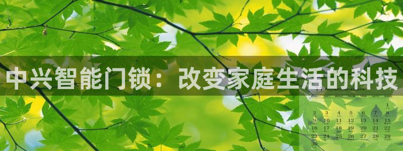 利记彩票官网：中兴智能门锁：改变家庭生活的科技