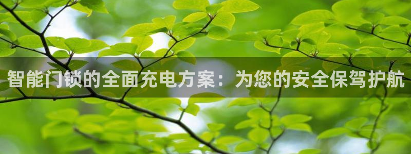 利记厨具官网客服电话：智能门锁的全面充电方案：为您的安全保驾
