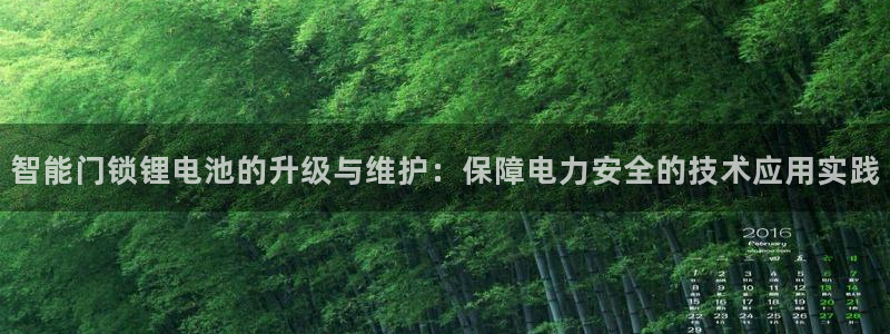 利记手机官网葡京备用：智能门锁锂电池的升级与维护：保障电力安