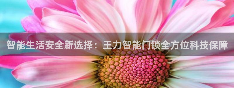 利记官网平台：智能生活安全新选择：王力智能门锁全方位科技保障