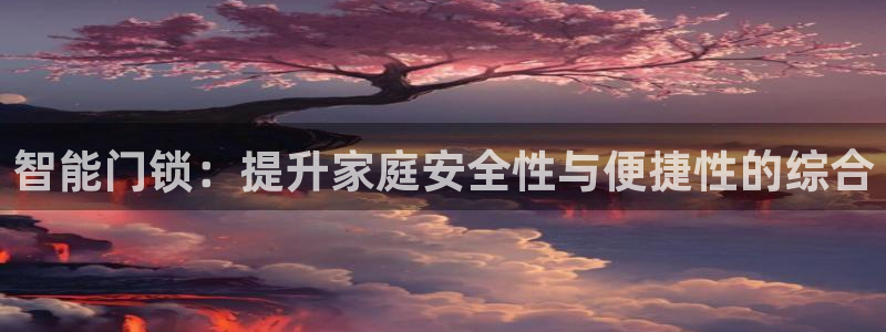 利记国际有限公司官网：智能门锁：提升家庭安全性与便捷性的综合