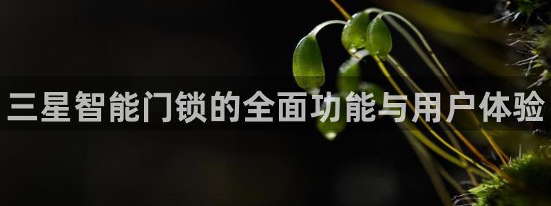利记体育app官网：三星智能门锁的全面功能与用户体验