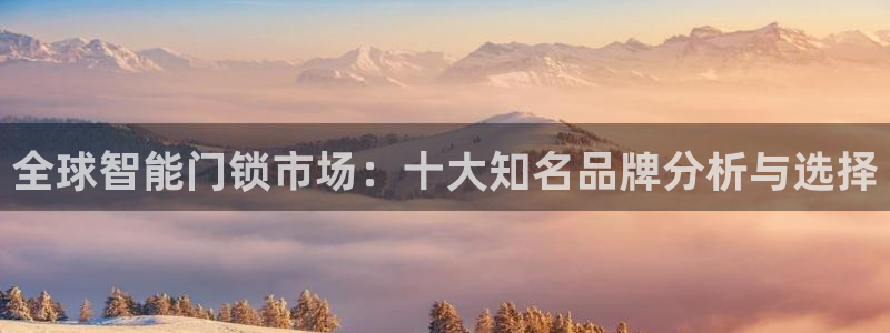 利记网址注册官网：全球智能门锁市场：十大知名品牌分析与选择
