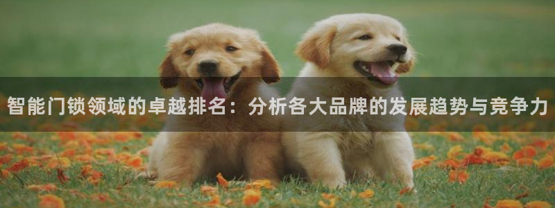 利记官网：智能门锁领域的卓越排名：分析各大品牌的发展趋势与竞