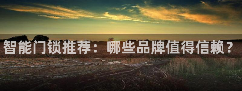 利记bet官网登录入口：智能门锁推荐：哪些品牌值得信赖？