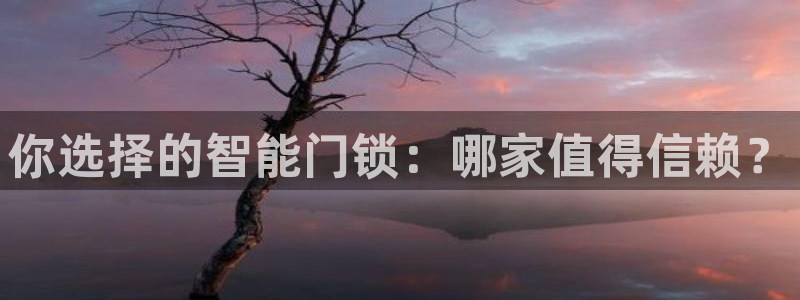 利记网官网网址：你选择的智能门锁：哪家值得信赖？