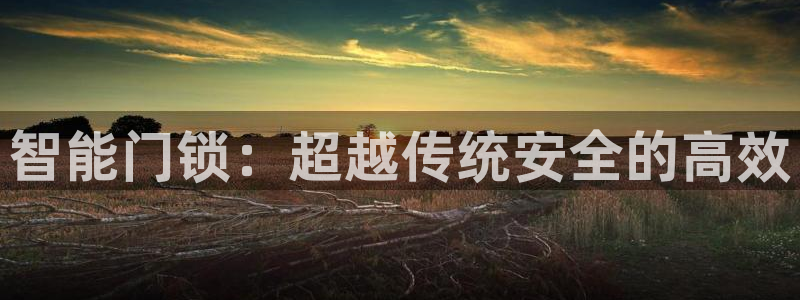 利记的官网：智能门锁：超越传统安全的高效