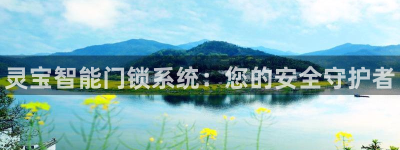 利记 利记官网：灵宝智能门锁系统：您的安全守护者