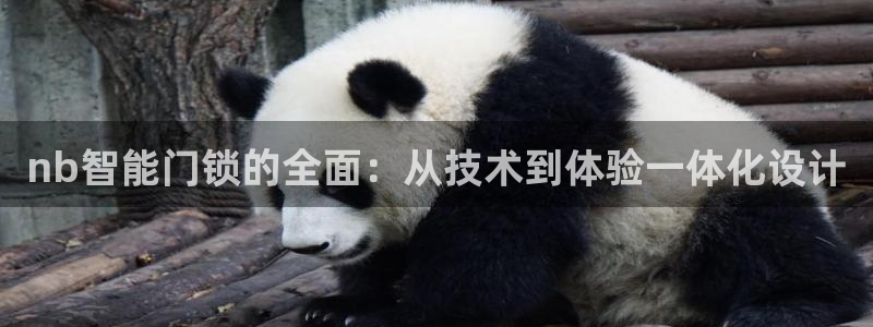 利记app官网真人游戏：nb智能门锁的全面：从技术到体验一体