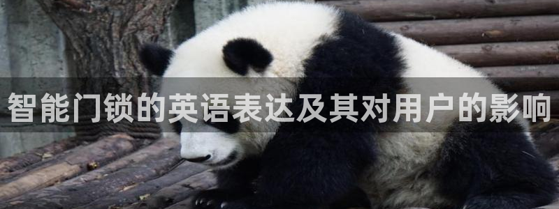 澳博官网app利记网址：智能门锁的英语表达及其对用户的影响