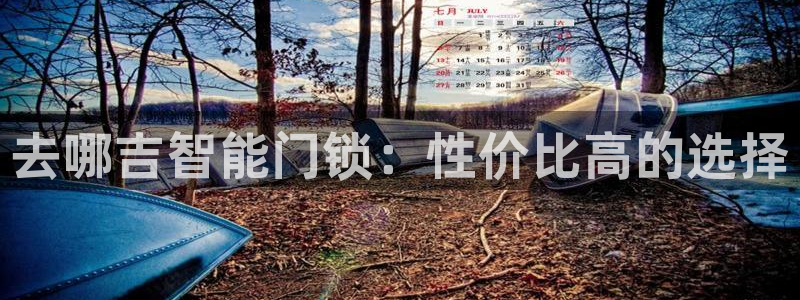 利记官网电脑版：去哪吉智能门锁：性价比高的选择