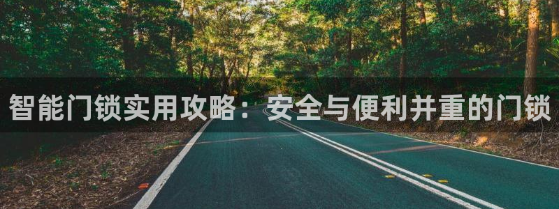 利记正式官网：智能门锁实用攻略：安全与便利并重的门锁