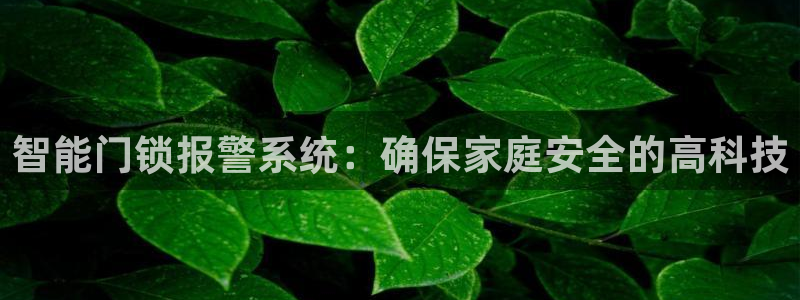 利记app官网入口：智能门锁报警系统：确保家庭安全的高科技