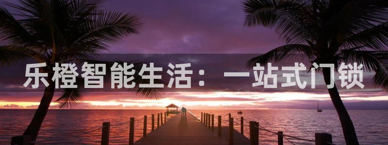 林利记官网：乐橙智能生活：一站式门锁