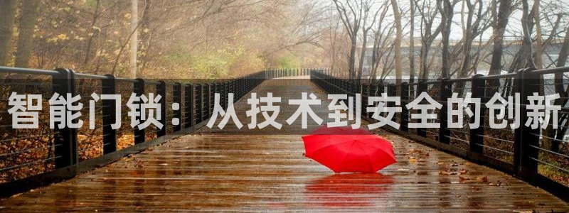 利记坊平台唯一官网：智能门锁：从技术到安全的创新