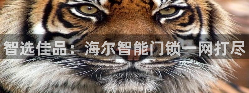 利记集团官网：智选佳品：海尔智能门锁一网打尽