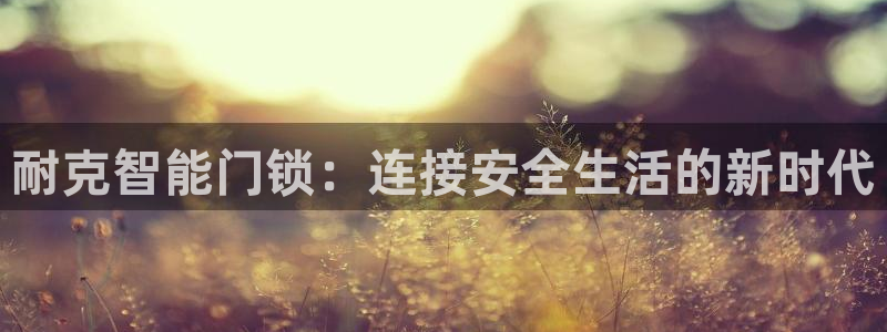 利记官网平台：耐克智能门锁：连接安全生活的新时代