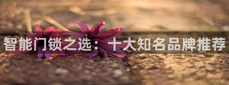 sbobet利记官网登录入口：智能门锁之选：十大知名品牌推荐
