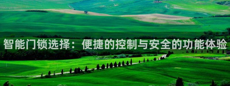利记信誉官网：智能门锁选择：便捷的控制与安全的功能体验