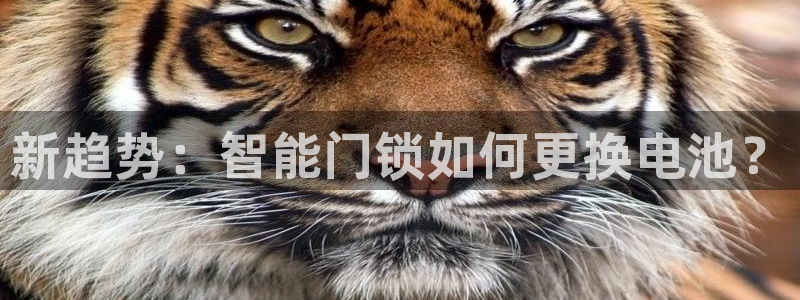 利记厨具官网售后：新趋势：智能门锁如何更换电池？