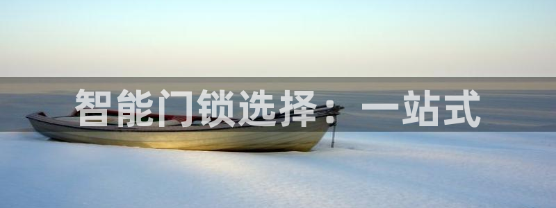 利记官网a：智能门锁选择：一站式