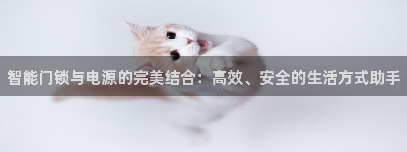 利记官网地址：智能门锁与电源的完美结合：高效、安全的生活方式