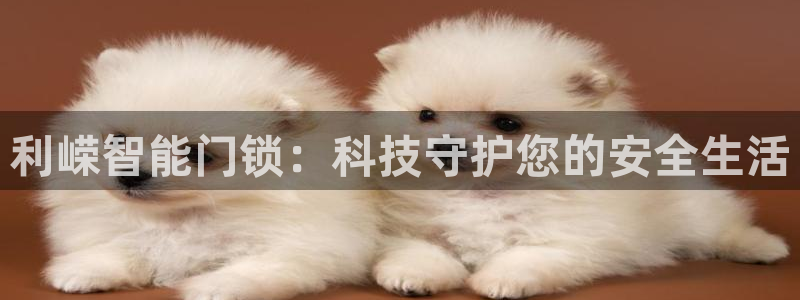 利记官网多少：利嵘智能门锁：科技守护您的安全生活