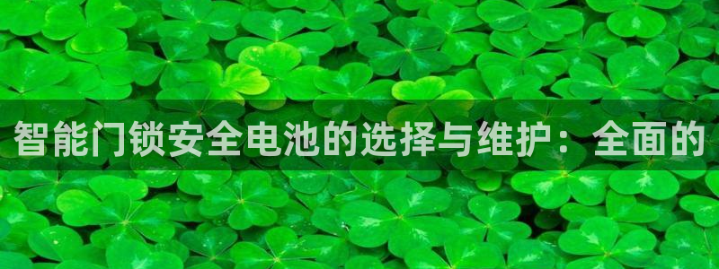 利记手机官网入口：智能门锁安全电池的选择与维护：全面的