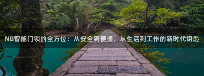 铂利记旗舰店官网：NB智能门锁的全方位：从安全到便捷，从生活