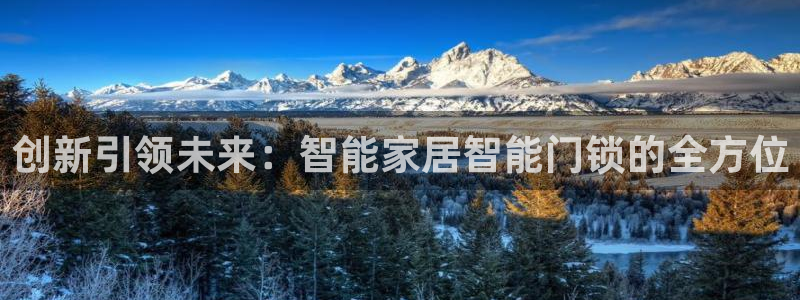 利记官网日亚运比：创新引领未来：智能家居智能门锁的全方位