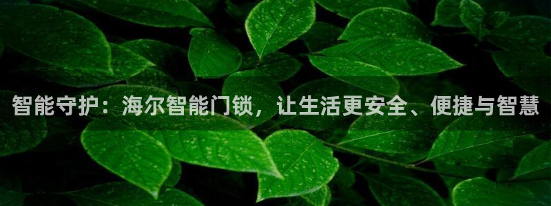 利记官网加盟：智能守护：海尔智能门锁，让生活更安全、便捷与智