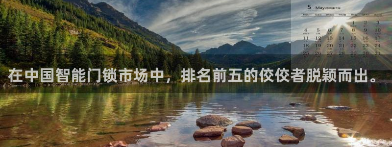 铂利记旗舰店官网：在中国智能门锁市场中，排名前五的佼佼者脱颖