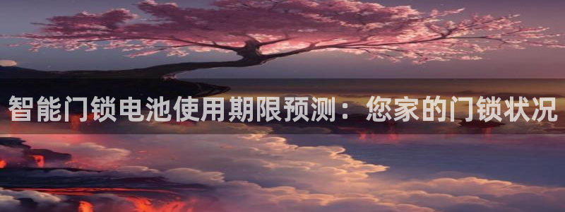 利记坊官网注册账号：智能门锁电池使用期限预测：您家的门锁状况