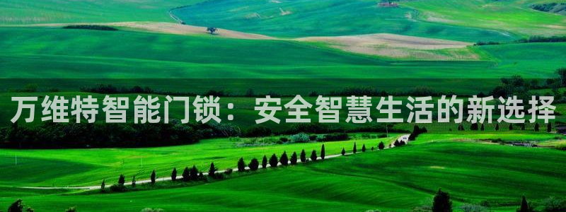 利记二手车行官网：万维特智能门锁：安全智慧生活的新选择